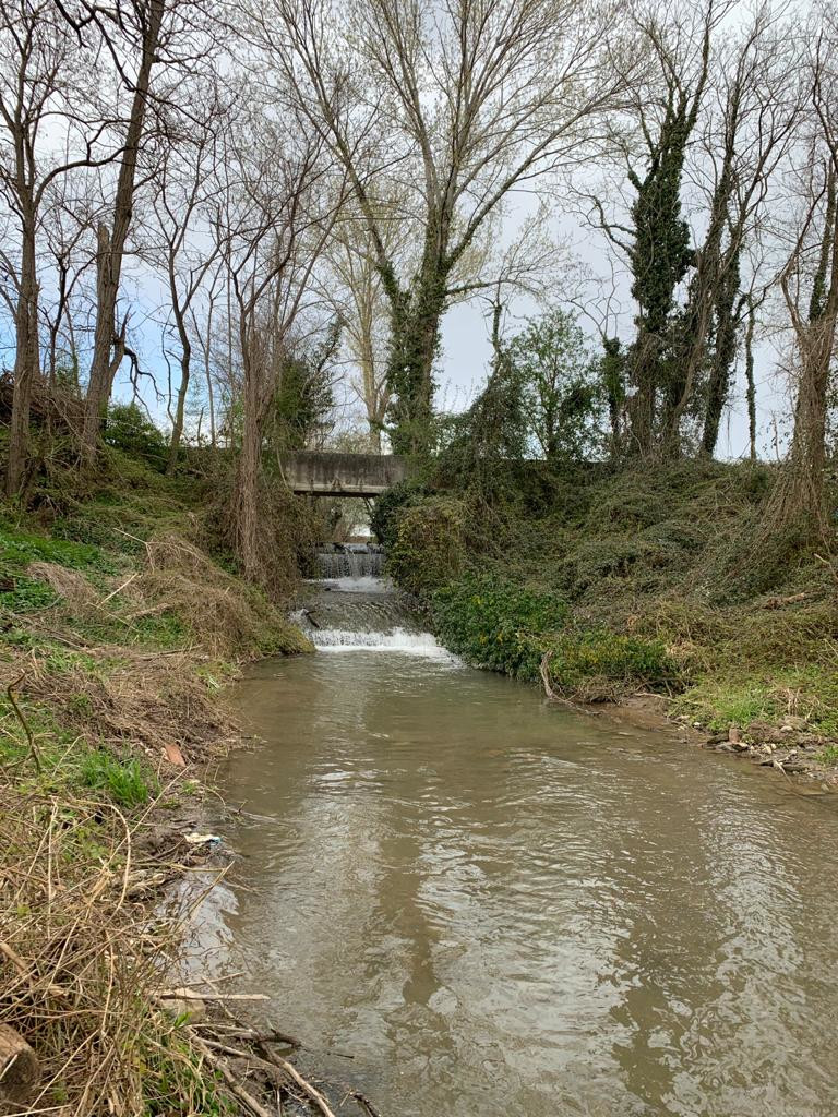 paese reale_fossato